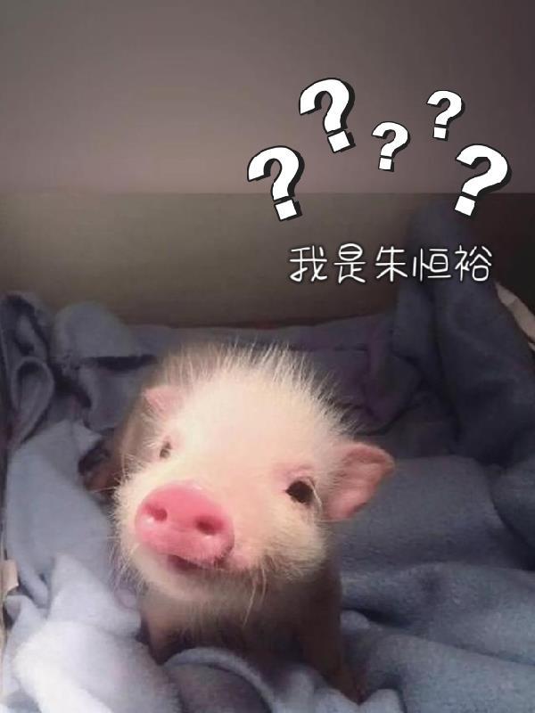 独孤行天下