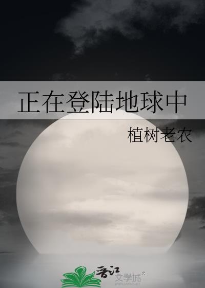 清穿之四爷盗梦封面